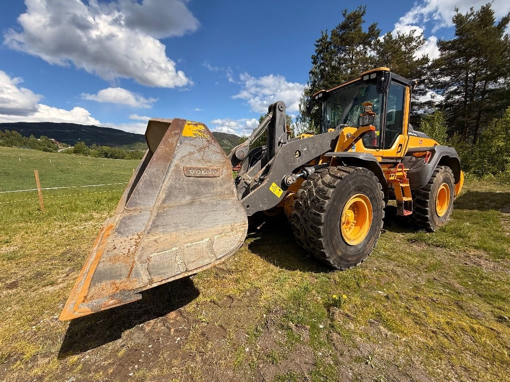 Chargeuse sur pneus Volvo L 110 H