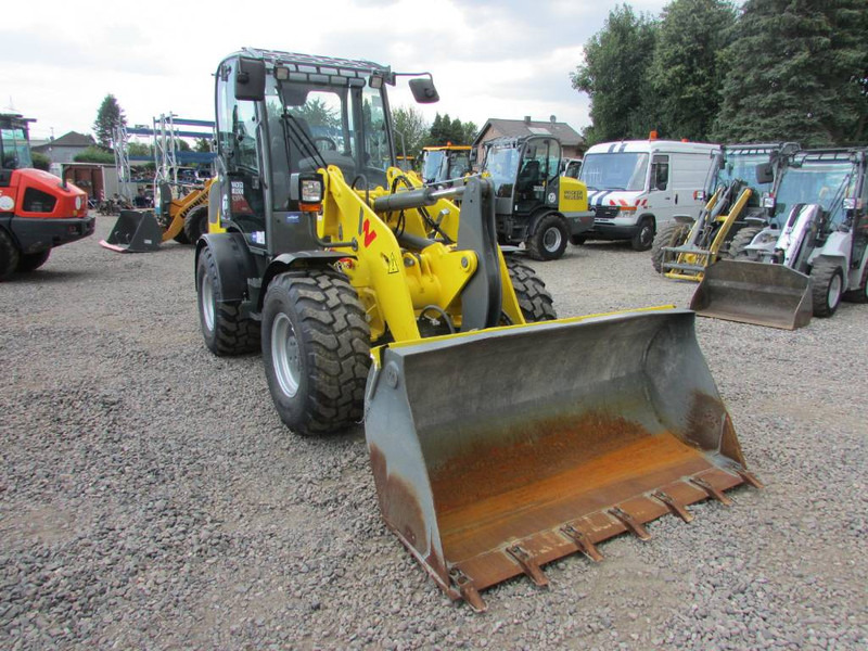 Chargeuse sur pneus WACKER NEUSON WL 52 Radlader 39.900 EUR