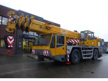 Grue tout-terrain Demag AC 95