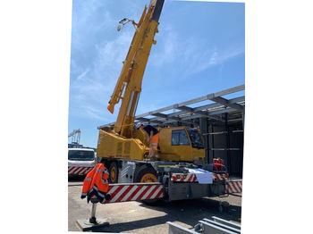 Grue tout-terrain Grove GCK 3045
