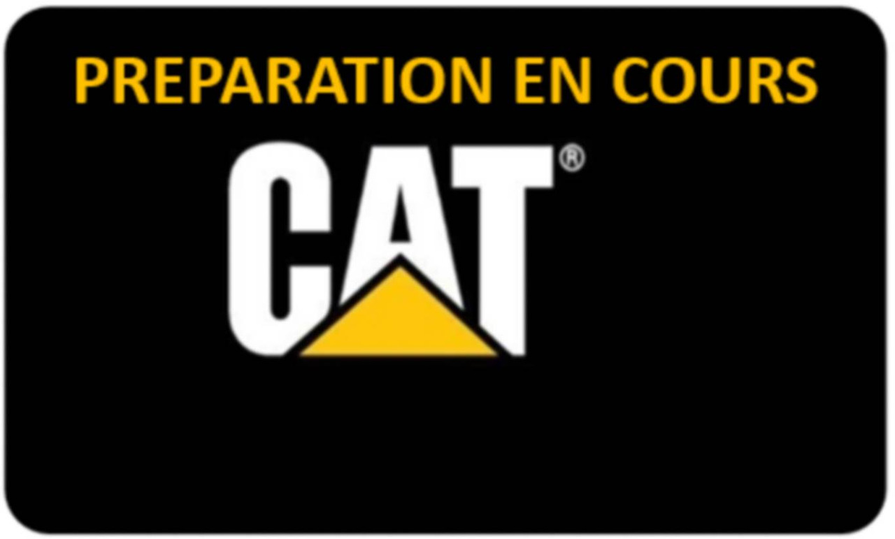 Pelle sur chenille CAT 302.7D CR
