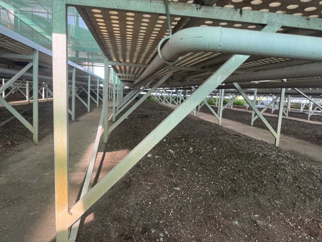 Machine agricole Aluminum cultivation table (1.82x12.00mtr)