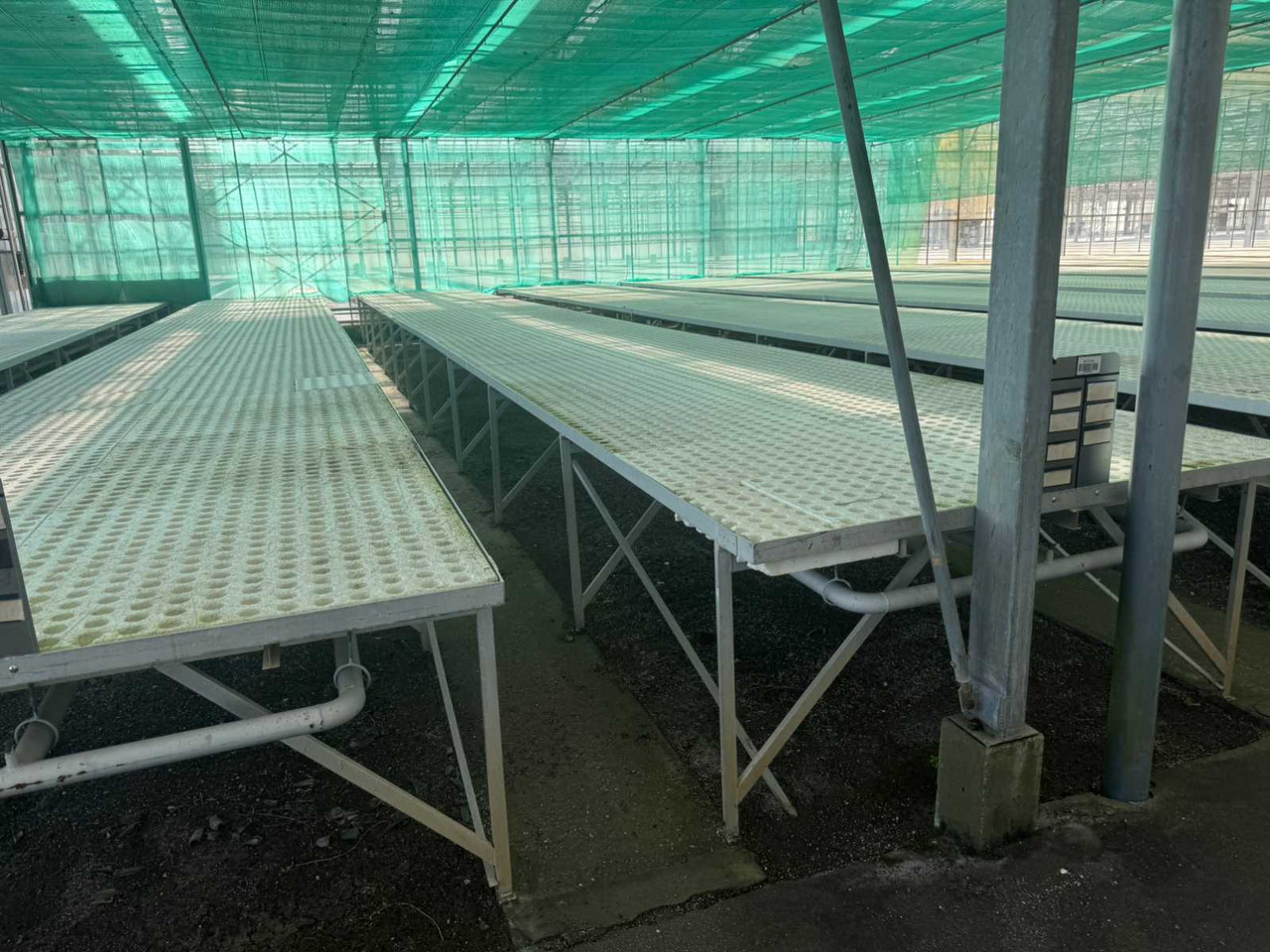 Machine agricole Aluminum cultivation table (1.82x12.00mtr) (25x)