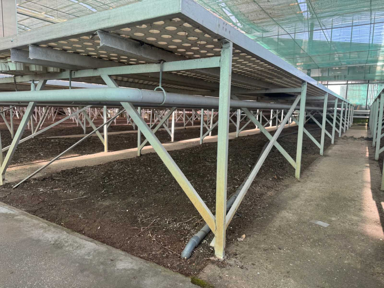 Machine agricole Aluminum cultivation table (1.82x12.00mtr) (6x)