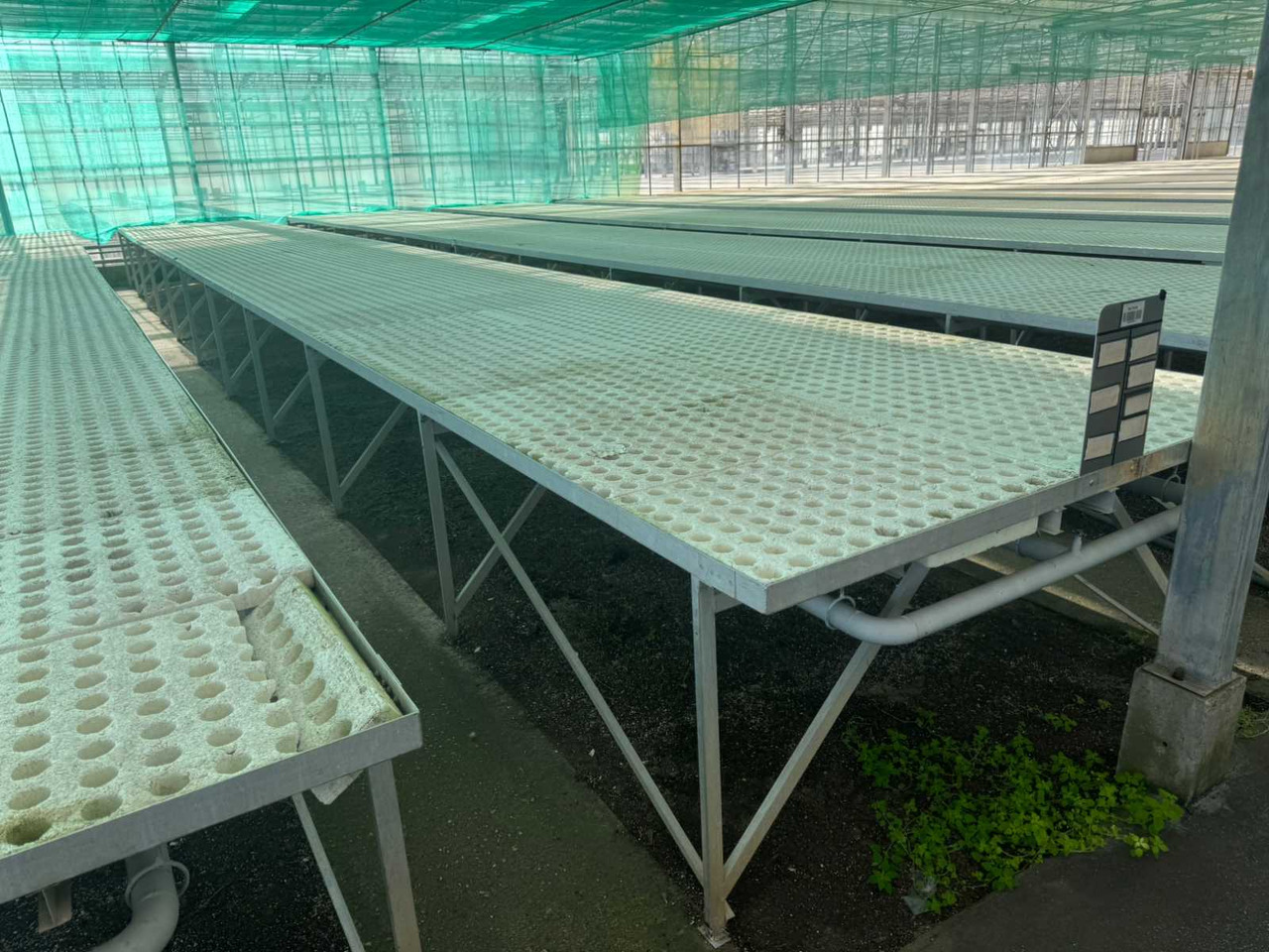 Machine agricole Aluminum cultivation table (1.82x15.00mtr)
