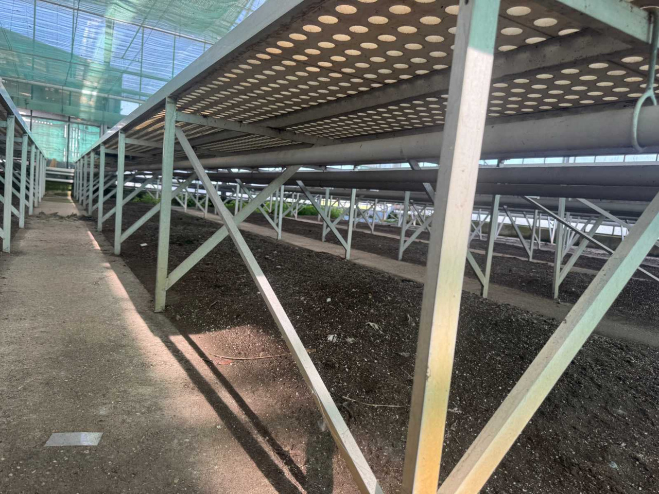 Machine agricole Aluminum cultivation table (1.82x15.00mtr)