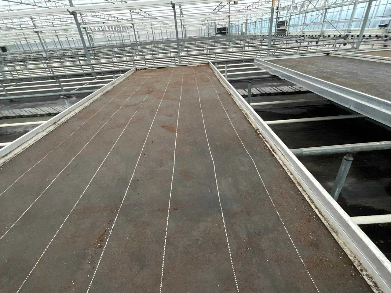 Machine agricole Aluminum cultivation table (4.50x1.63 mtr) (50x)