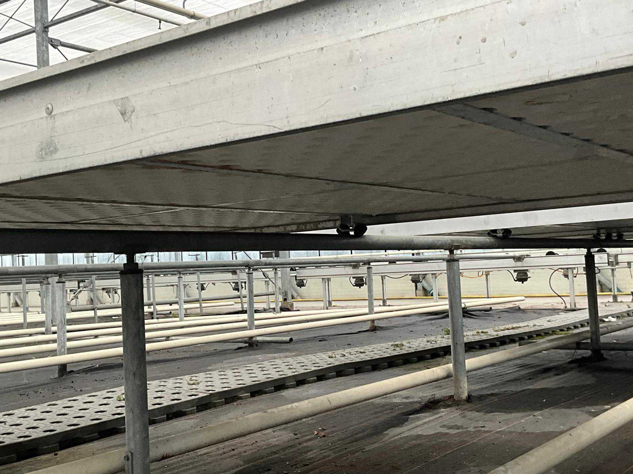 Machine agricole Aluminum cultivation table (4.50x1.63 mtr) (50x)