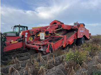 Arracheuse de pommes de terre Grimme GV 3000