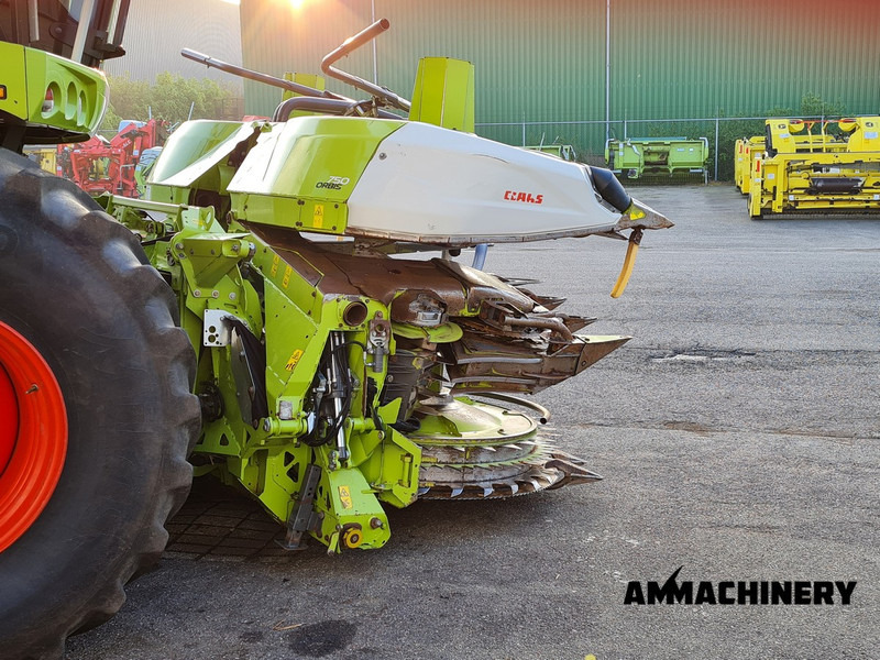 Cueilleur de maïs Claas Orbis 750 I63 rotary corn header