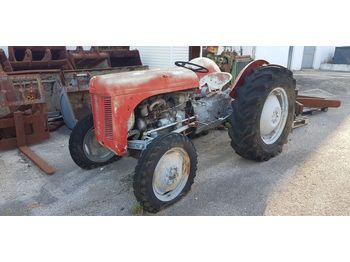 Tracteur agricole MASSEY FERGUSON MF25: photos 1