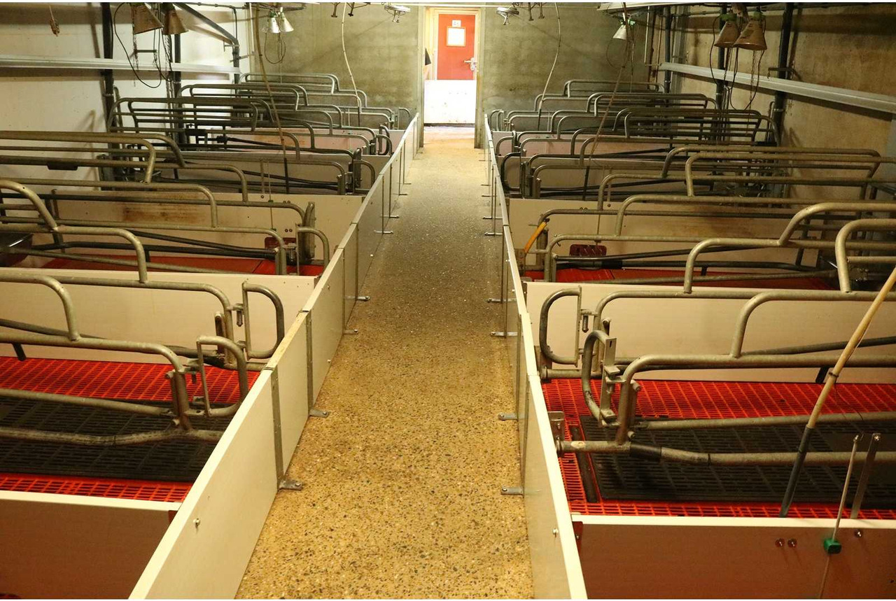 Matériel d'élevage Barn equipment hall 3 & 4