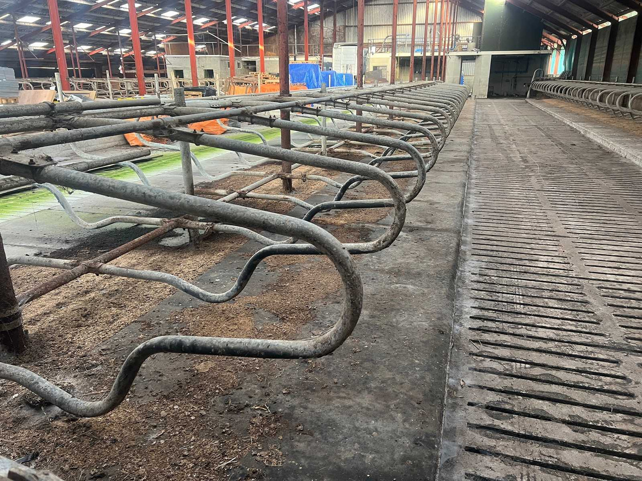 Matériel d'élevage Cubicle interior