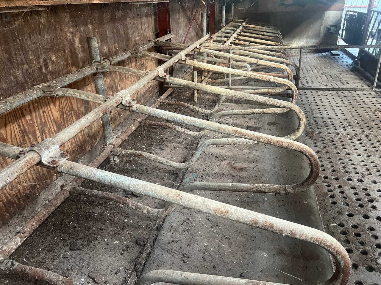 Matériel d'élevage Cubicle interior