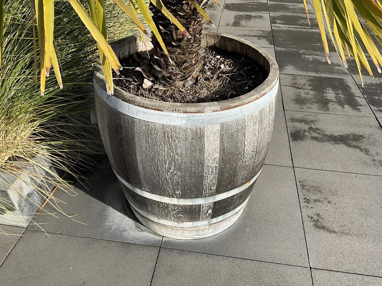 Machine agricole Planter with plant