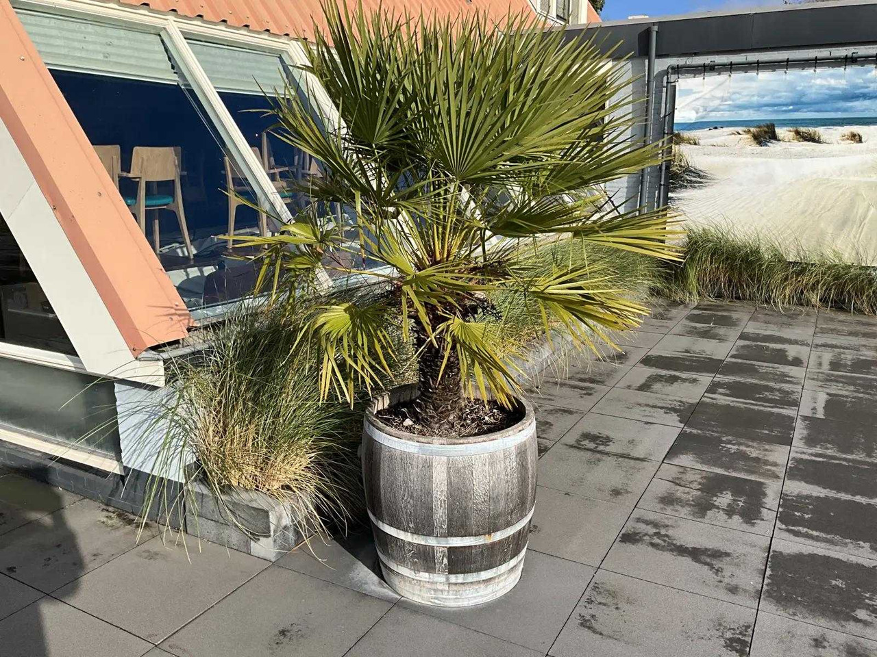 Machine agricole Planter with plant