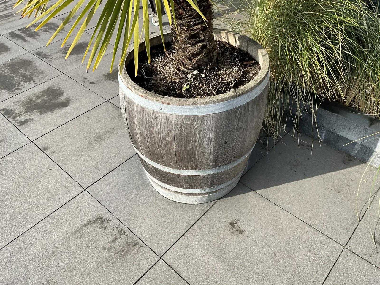 Machine agricole Planter with plant