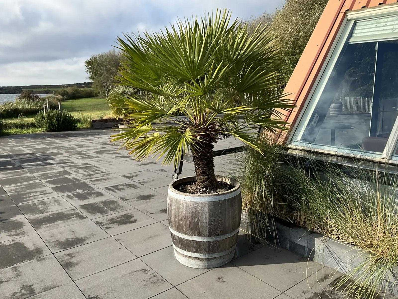 Machine agricole Planter with plant