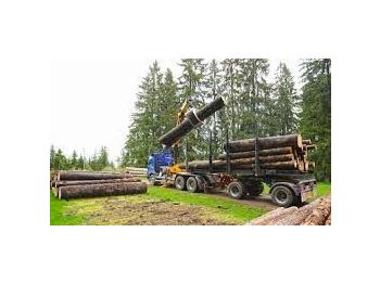 Remorque forestière Scania DOLL M134 kombizug do drewna dłużycy lasu stosu epsilon loglift doll huttner volvo: photos 1