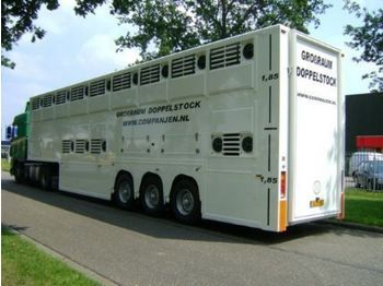 Semi-remorque bétaillère Gray and Adams Doppelstock Companjen Cattle Carrier: photos 1