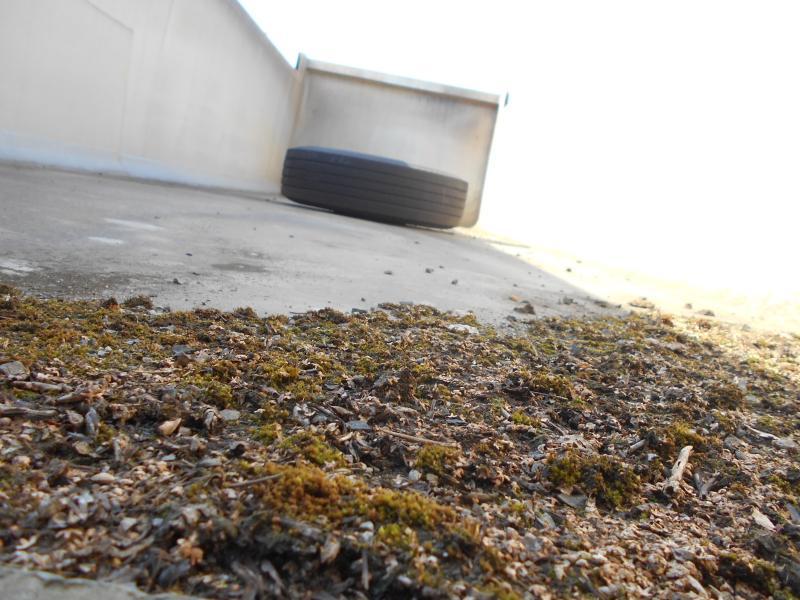 Semi-remorque benne Kaiser