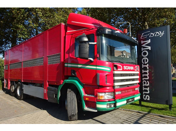 Camion chevaux SCANIA P124