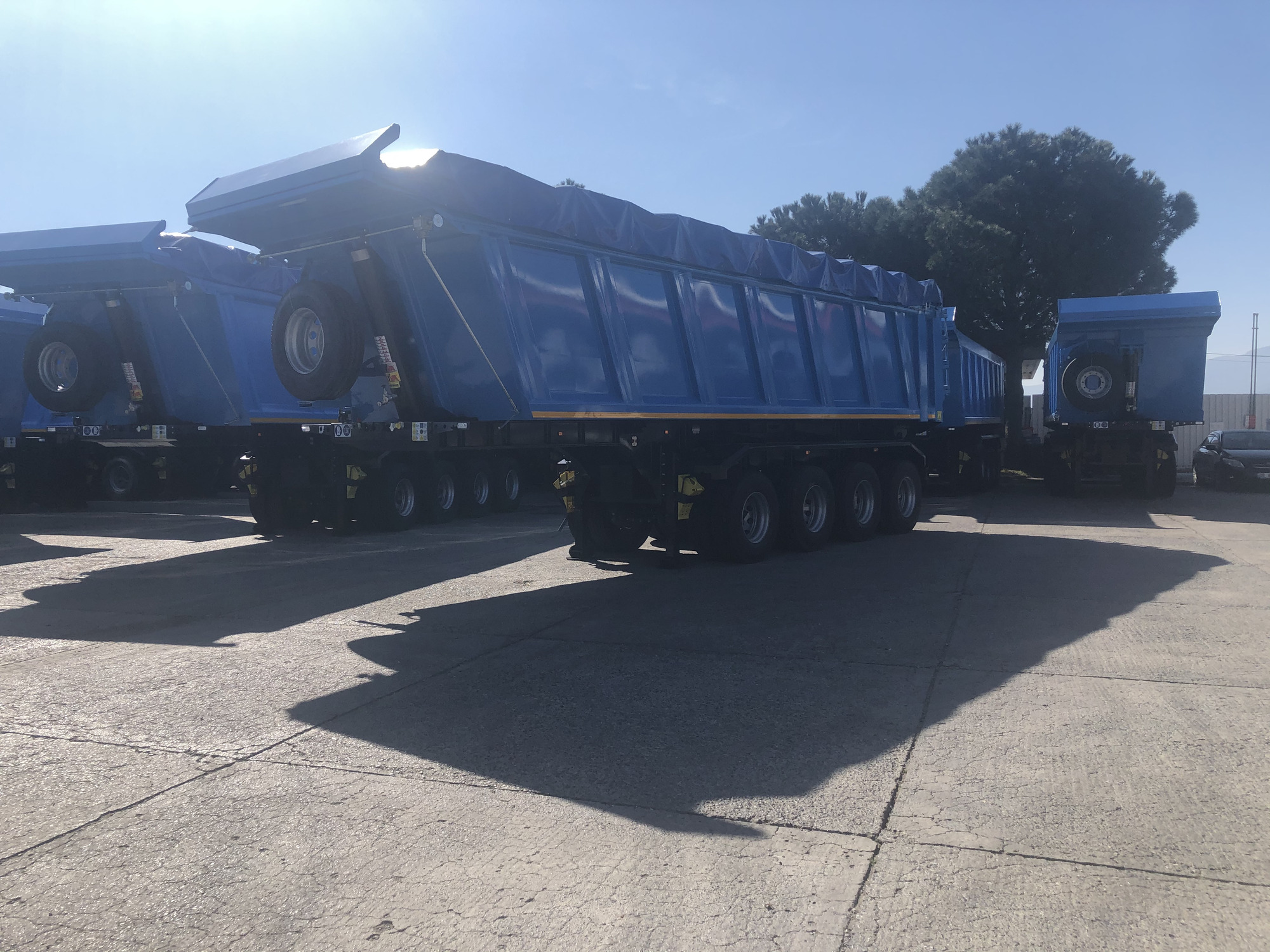 STAR YAGCILAR undefined: photos 19