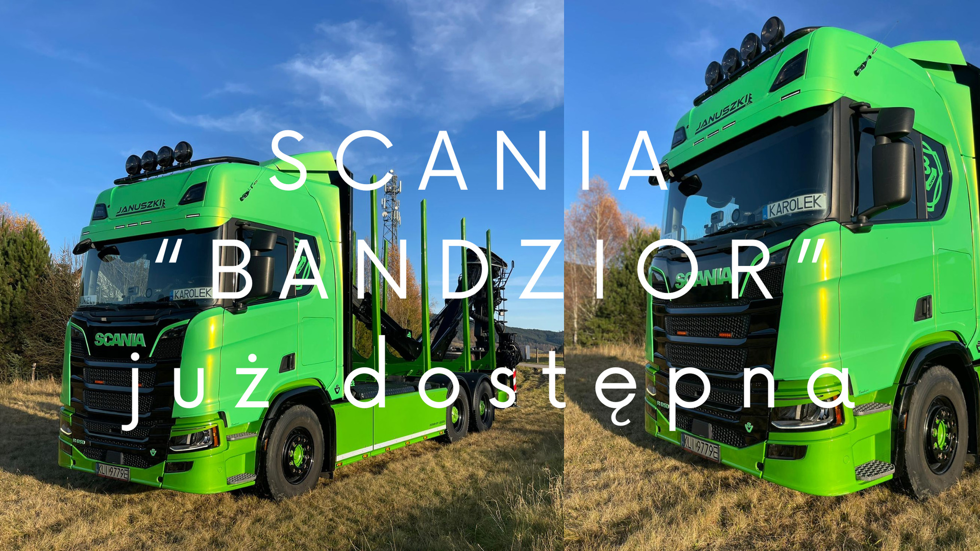 JANUSZKI SC - Annonce de vente undefined: photos 1