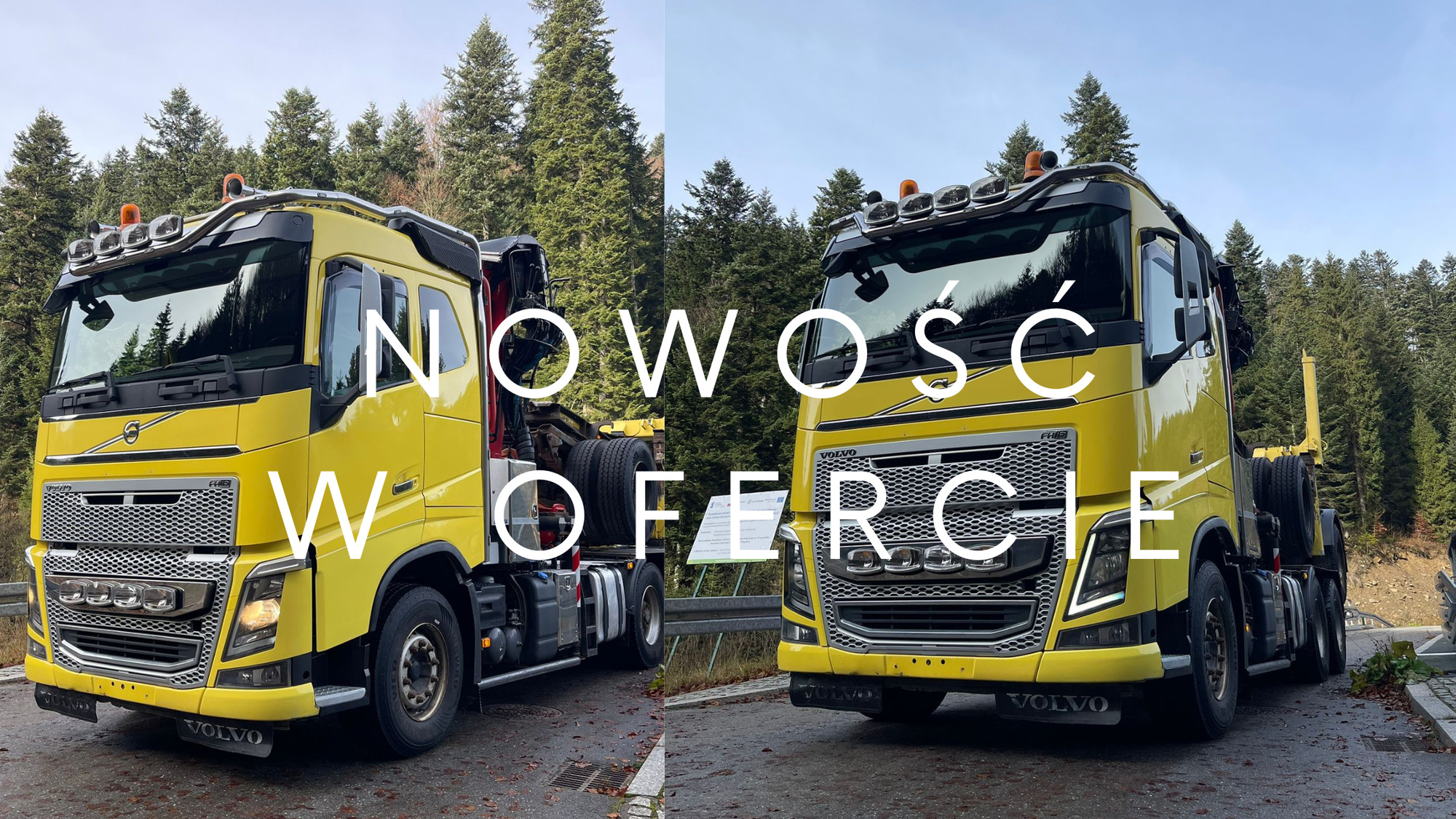 JANUSZKI SC - Annonce de vente undefined: photos 2