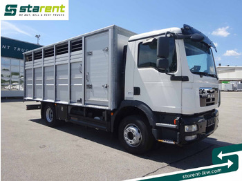 Camion chevaux MAN TGM 15.290 Viehtransporter, Scheuwimmer Aufbau: photos 3