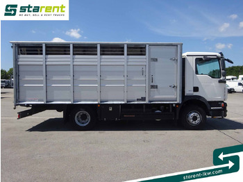 Camion chevaux MAN TGM 15.290 Viehtransporter, Scheuwimmer Aufbau: photos 4