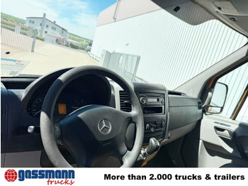 Utilitaire plateau, Utilitaire double cabine Mercedes-Benz Sprinter 313 CDI 4x4 Doka: photos 2