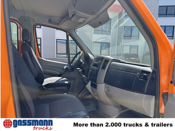 Utilitaire plateau, Utilitaire double cabine Mercedes-Benz Sprinter 313 CDI 4x4 Doka: photos 3