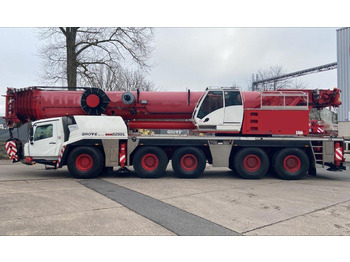 Grue mobile GROVE