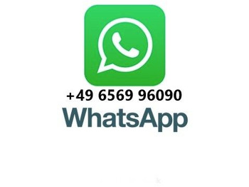 Camion ampliroll Iveco Magirus Turbo 160-30 AH - Oldtimer- V 8 - Motor Iveco Magirus Turbo 160-30 AH - Oldtimer- V 8 - Motor: photos 2 Camion ampliroll Iveco Magirus Turbo 160-30 AH - Oldtimer- V 8 - Motor Iveco Magirus Turbo 160-30 AH - Oldtimer- V 8 - Motor: photos 2