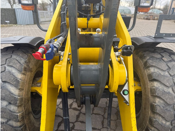 Wacker WL 70, Bj 21, 1625 BH, 122 PS, Schaufel Gabel  en leasing occasion Wacker WL 70, Bj 21, 1625 BH, 122 PS, Schaufel Gabel: photos 5