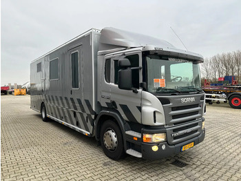 Scania P230 TOP: multifunct. ruimte met airco (camper?), 22kVA generator, hydr. steunpoten, beloopbaar dak, keuken, APK 10-2026 en leasing occasion Scania P230 TOP: multifunct. ruimte met airco (camper?), 22kVA generator, hydr. steunpoten, beloopbaar dak, keuken, APK 10-2026: photos 3