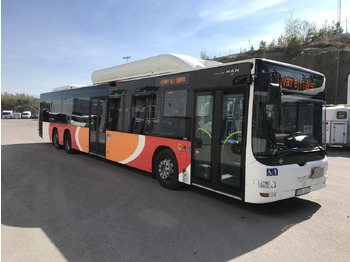 Bus urbain MAN Lion's City A26