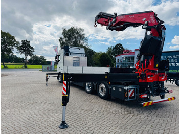 Camion plateau, Camion grue Volvo FH 540 6x2 Container Fassi F545 Heck: photos 2