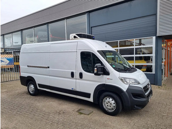Utilitaire frigorifique FIAT Ducato Maxi