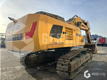 Pelle sur chenille Liebherr R966 HD: photos 3