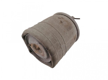 Suspension pneumatique SCANIA