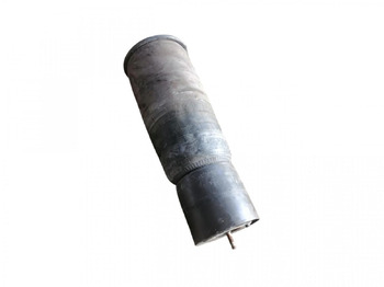 Suspension pneumatique SCANIA