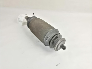 Suspension de cabine pour Camion Scania Cab suspension 2621045: photos 3 Suspension de cabine pour Camion Scania Cab suspension 2621045: photos 3