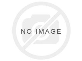 Pelle sur chenille LIEBHERR R 954