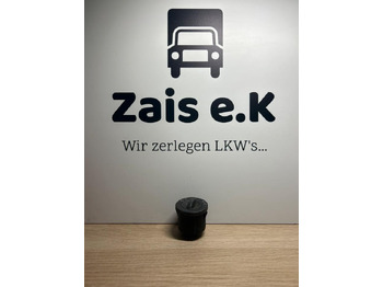 Cabine et intérieur MAN