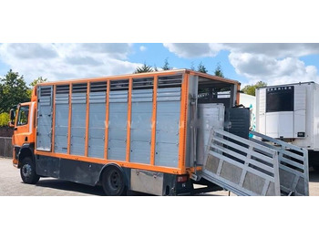 Camion bétaillère DAF CF 400 Menke Einstock | Transport zwierząt jednopoziomowy | 2 kratownice do bydła| Retarder | Euro 6: photos 4 Camion bétaillère DAF CF 400 Menke Einstock | Transport zwierząt jednopoziomowy | 2 kratownice do bydła| Retarder | Euro 6: photos 4