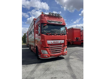 Camion bétaillère DAF XF 460
