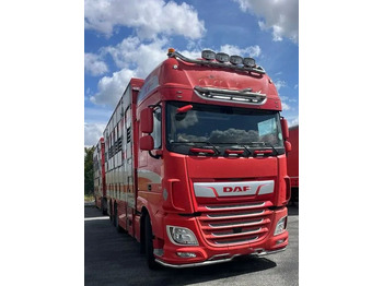 Camion bétaillère DAF XF 530