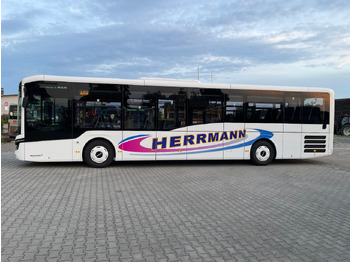 Bus urbain MAN Lion's Intercity LE 12: photos 5 Bus urbain MAN Lion's Intercity LE 12: photos 5